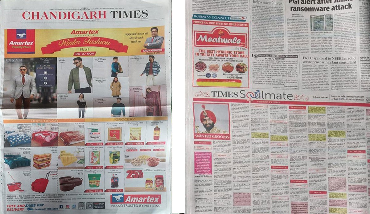 Times of india Chandigarh